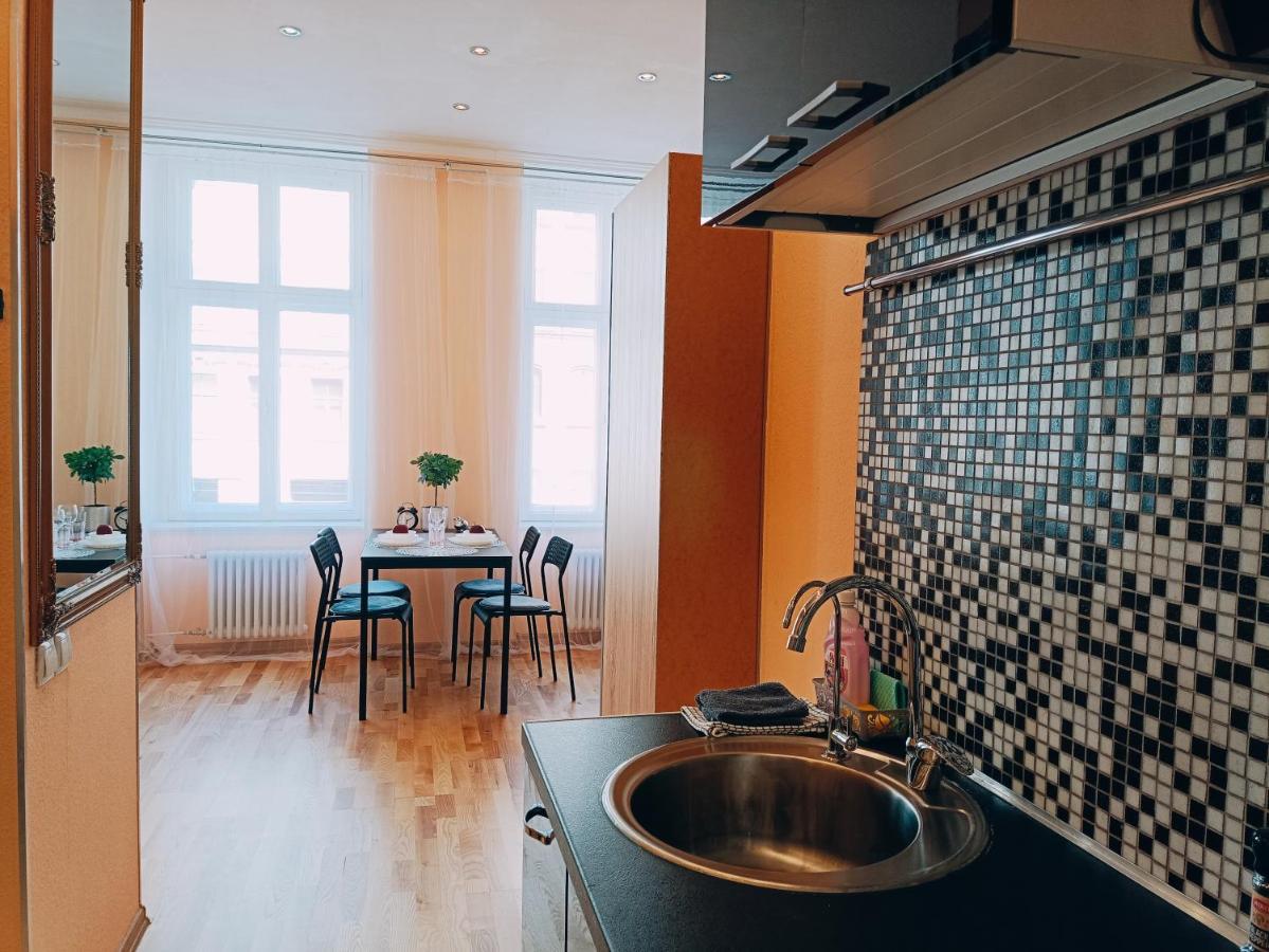ריגה Centrally Located Studio Apartment מראה חיצוני תמונה